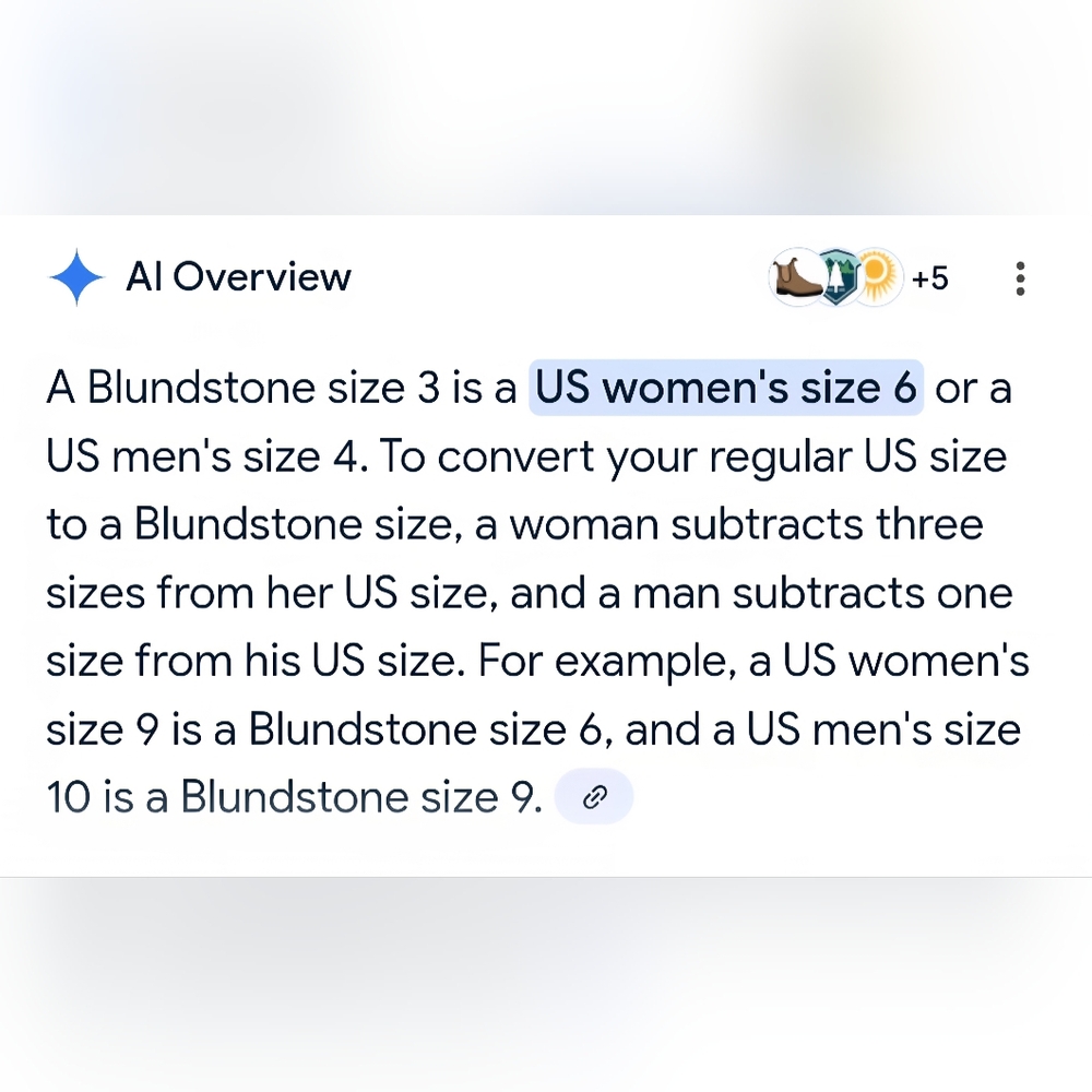 Blundstone Work Boots Size 3 (Women's size 6 on regular sizing) - Picture 5 of 5